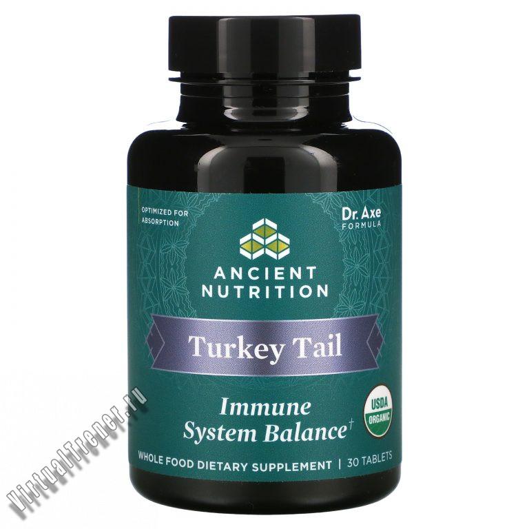 Dr. Axe / Ancient Nutrition, Turkey Tail, Immune System Balance, 30 Tablets